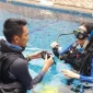 Beginners-Guide-to-Night-Diving