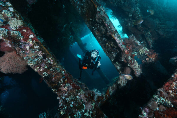 Liberty shipwreck Bali - Bali Fun Diving Liberty shipwreck Bali - Bali Fun Diving