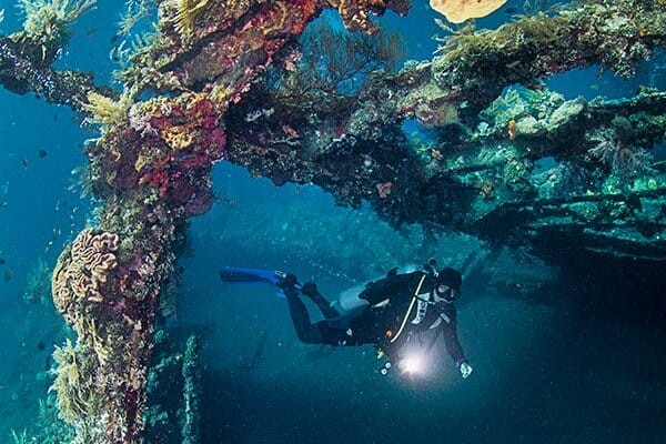 balidivingsafari-3d2n-homepage balidivingsafari-3d2n-homepage