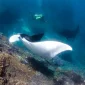 balifundiving-certified-diver.jpg