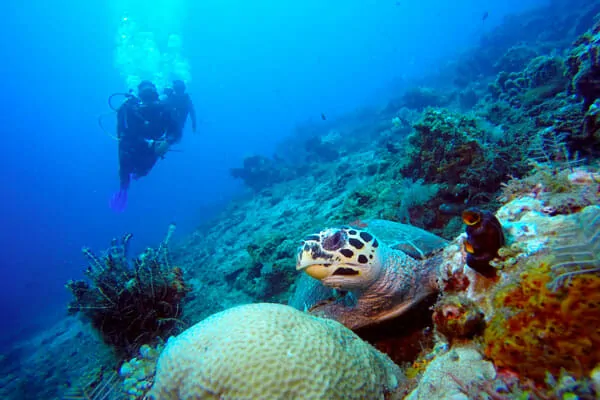 diving-course-in-bali-fun-diving.jpg diving-course-in-bali-fun-diving.jpg